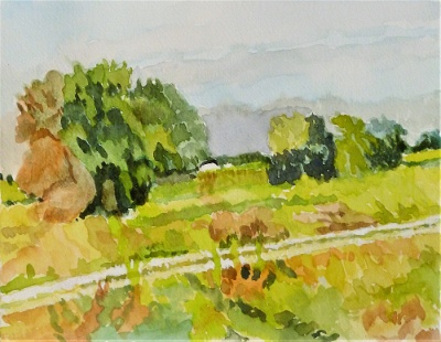 From the Train